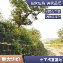 公路铁路边坡绿化hdpe防滑格世杰 蜂巢土工格室 压花打孔HDPE