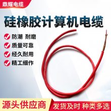 ZR-DJFPGRP-3*3*1.0是计算机电缆还是硅橡胶电缆