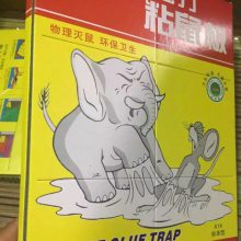 ץʦ绰  
