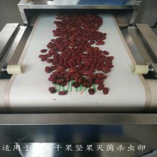 枸杞灭菌机 大枣红枣灭菌机 低温杀菌不破坏品相口感