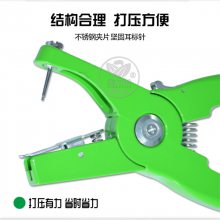 ţôǯ ͨö갲װ ʽǯ ǯ