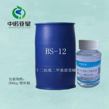 ʮ׻˼ BS-12  