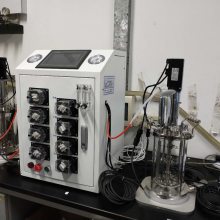 2L玻璃发酵罐 实验室发酵设备 5L离线灭菌细菌培养设备型号