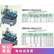 úӦ4DSY-30/40õ綯ѹ ƽ ʽı