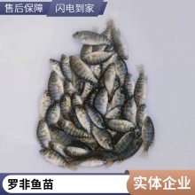 󲻲޷ ޷ ֳ޷