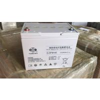 双登12v6***h铅酸免维护蓄电池双登6GFM-12-65