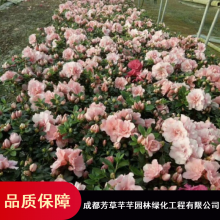 16鱭_С̻ľ鱭_Ĵɶܷܷ鱭ֱ