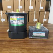 LIMING MOTOR东莞利得电机CM09IG40SB利明牌电机LEADER马达