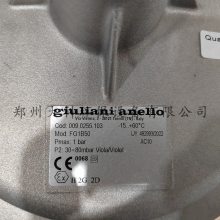 ȼѹgiulianiFG1B50/40