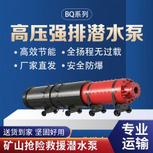 BQ725-360/9-1000/WSǿǱˮ 10kvѹǱ۱