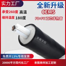 烟气伴热取样管BWG-F6-F8-140 CEMS在线监测系统伴热管线伴热管