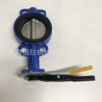 TENHEFLOWֱԼʽ  DN100綯