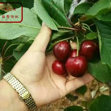 3ӣ ӣ ӣϢ