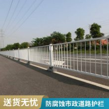 上兴组装式设计多尺寸市政道路护栏 马路分流用抗冲击衔接方便