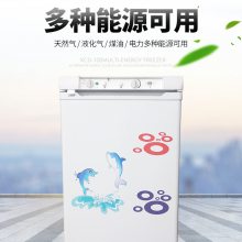 XCD-100,240ȼ ر RV refrigerator Դ