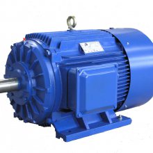 YBK3-355M2-6-200ǧ߷۸