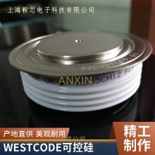N195CH16 Ԫ WESTCODE װ׼ ſɿع