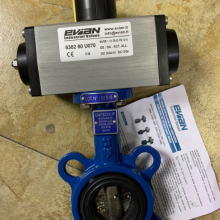 優(yōu)勢供應(yīng) Evian 蝶閥 Code 6362 80 U070 (DN 40)