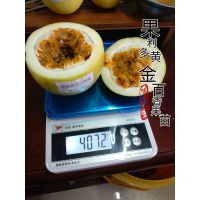 Իƽ磭ƽ11