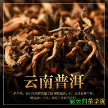 孟海茶厂茶价格彩云归茶云南七子饼茶凤庆茶厂生?`川茶叶价格表