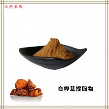  白桦茸提取物10:1  白桦茸多糖 桦褐孔菌提取物现货供应