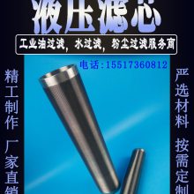 液压站泵出口 高压折叠滤芯 01E.425.10VG.16.S.P 正航净化