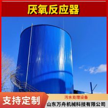 IC高效厌氧反应器 厌氧塔 高浓度废水处理设备