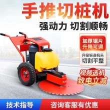 电动抱箍式切桩机 手推升降杆钢筋混凝土切桩机 管桩锯切机厂家