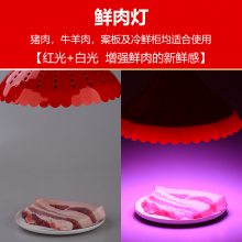  ledʵ ʳгеҹн̯ܰ
