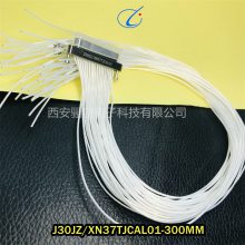 ղ  J30JZ/XN31TJSAL01 ͷ ǰѯ