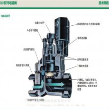 美国雨鸟100HVF DVF 150PGA自动灌溉电磁阀1.5寸2寸24V交流9V直流