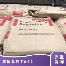美国杜邦 Zytel? PA66 70G13HS1L 13%玻纤增强 热稳定级