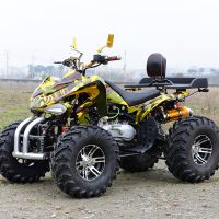 ɳ̲綯+ ԽҰɳ̲250cc