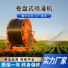 大型农用水涡轮卷盘式喷灌机 喷头旋转浇地用全自动淋灌机