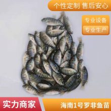一级罗非鱼种苗 雄性快大奥尼一号罗非鱼苗 水花 新吉富鱼苗 可发空运