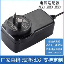 插墙式澳规SAA C-Tick认证电源适配器5V6V9V12V24V36V48V充电器