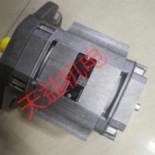天益机电 PGF3-31 040RJ07VU2 R900931426 齿轮泵高压 18-4-48