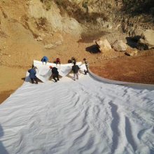 ����һĤ���������Ҷ��� 300g-1800g��������һĤ������ ��ӭ���紹ѯ