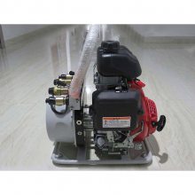 (ϵ)Һѹ˫BE-MP-2-63/0.66ЯʽɭҺѹҺѹ