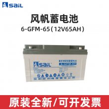 SaiL/緫6-GFM-65Ǧά12V65AHֱܵ