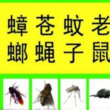 빫˾ Ϻĺ ó 溦