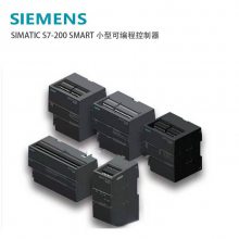 ԭװS7-200 SMART׼ CPUģ6ES7288-1SR30-0AA1