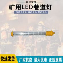 长条型巷道灯避难硐室灯DGS18(24)/127L(A)矿用隔BLED巷道灯