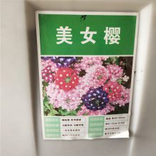 优质新采草花种子 美女樱种子 发芽*** 价格便宜 ***