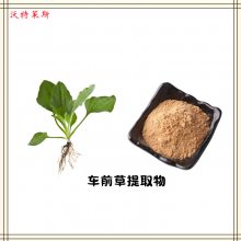 车前草提取物10：1 浓缩粉 提取液 浸膏 多种规格 1kg起订 包邮