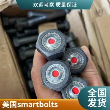 ·ͨ U˨  ɶ ҹӦ˨-SmartBolts-SmartBolt