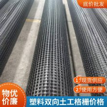 世杰 TGDG单向拉伸塑料土工格栅 路基增强 挡土墙加筋