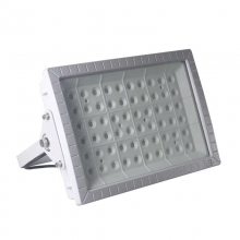 RLB95 LED 100W 