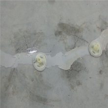 ʦѷϳֱ