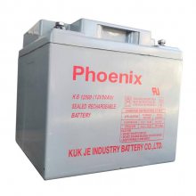 PhoenixKB12500 12V50AHȼ ά ups